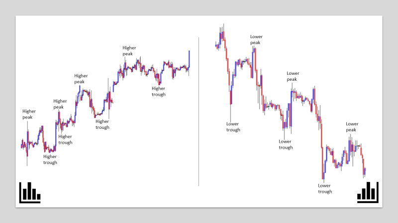 Forex market movements most important investment ratios